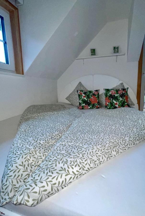 Almsternderl 2.0 - Gemuetliches Appartment In Gosau Dış mekan fotoğraf